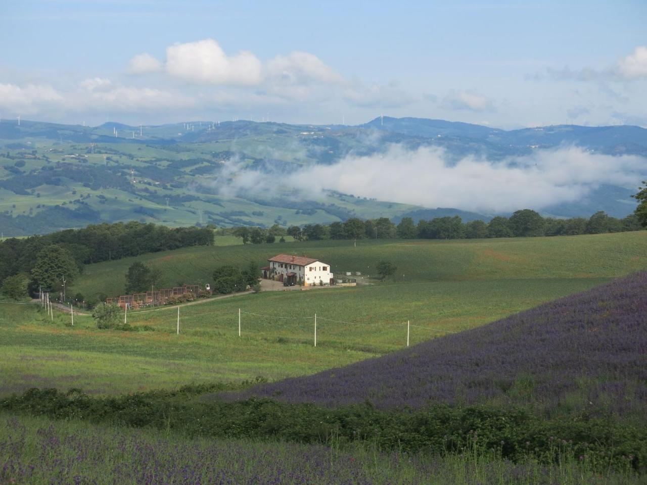 Agriturismo Il Riccio Monticchio  Exterior photo